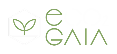 Logo eco GAIA