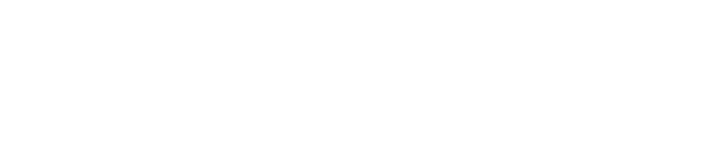 ROOTS Consultora Iberoamericana de Sostenibilidad