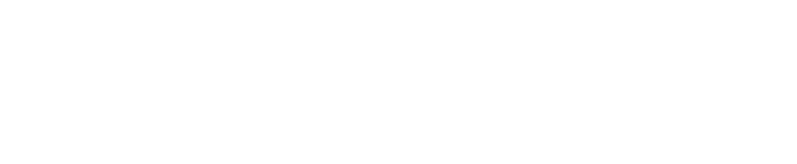 ROOTS Consultora Iberoamericana de Sostenibilidad